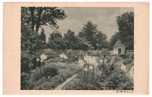 Load image into Gallery viewer, Mount Vernon, Virginia, USA - Flower Gardens Vintage Original Postcard # 0874 - New - 1940'
