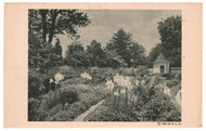 Mount Vernon, Virginia, USA - Flower Gardens Vintage Original Postcard # 0874 - New - 1940'