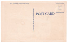 Load image into Gallery viewer, Dutch Creek Falls, Valle Crucis, North Carolina, USA Vintage Original Postcard # 0878 - 1940's
