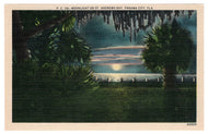 St. Andrews Bay, Panama City, Florida, USA Vintage Original Postcard # 0880 - New - 1940's