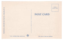 Load image into Gallery viewer, St. Andrews Bay, Panama City, Florida, USA Vintage Original Postcard # 0880 - New - 1940's

