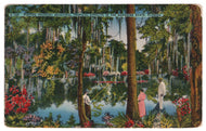 Fishing in the Tropics, Florida, USA Vintage Original Postcard # 0883 - 1940's