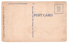 Load image into Gallery viewer, Fishing in the Tropics, Florida, USA Vintage Original Postcard # 0883 - 1940's
