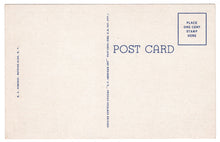 Load image into Gallery viewer, Rainbow Falls, Watkins Glen, New York, USA Vintage Original Postcard # 0929 - New - 1950's
