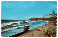 Maine Vacationland, New York, USA Vintage Original Postcard # 0933 - Post Marked 1968