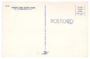 White Lake State Park, New Hampshire, USA Vintage Original Postcard # 4638 - New - 1960's