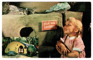 San Diego Zoo - Squirrels, California, USA Vintage Original Postcard # 4642 - Post Marked August 29, 1961