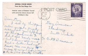 San Diego Zoo - Squirrels, California, USA Vintage Original Postcard # 4642 - Post Marked August 29, 1961