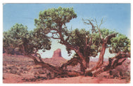 Monument Valley - Cedar Window, Utah, USA Vintage Original Postcard # 4643 - Post Marked March 27, 1952