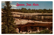 Mesa Verde National Park, Colorado, USA - Spruce Tree Ruin Vintage Original Postcard # 4649 - New - 1960's