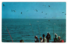 Load image into Gallery viewer, Day of Fishing, USA Vintage Original Postcard # 4655 - New - 1960&#39;s
