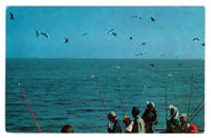 Day of Fishing, USA Vintage Original Postcard # 4655 - New - 1960's