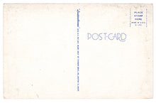 Load image into Gallery viewer, Day of Fishing, USA Vintage Original Postcard # 4655 - New - 1960&#39;s
