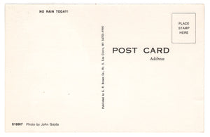 Kitty, No Rain Today Vintage Original Postcard # 4672 - New - 1960's