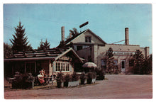 Load image into Gallery viewer, Alpa Chalet Snack Shop and Alpine Cheese Factory, Wilmot, Ohio, USA Vintage Original Postcard # 4692 - New - 1960&#39;s
