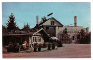 Alpa Chalet Snack Shop and Alpine Cheese Factory, Wilmot, Ohio, USA Vintage Original Postcard # 4692 - New - 1960's