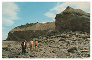 Fossils Cliffs, Joggins, Nova Scotia, Canada Vintage Original Postcard # 4697 - New - 1960's