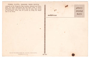 Fossils Cliffs, Joggins, Nova Scotia, Canada Vintage Original Postcard # 4697 - New - 1960's