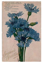 Load image into Gallery viewer, Season&#39;s Greetings Vintage Original Postcard # 4727 - Post Marked May 1909
