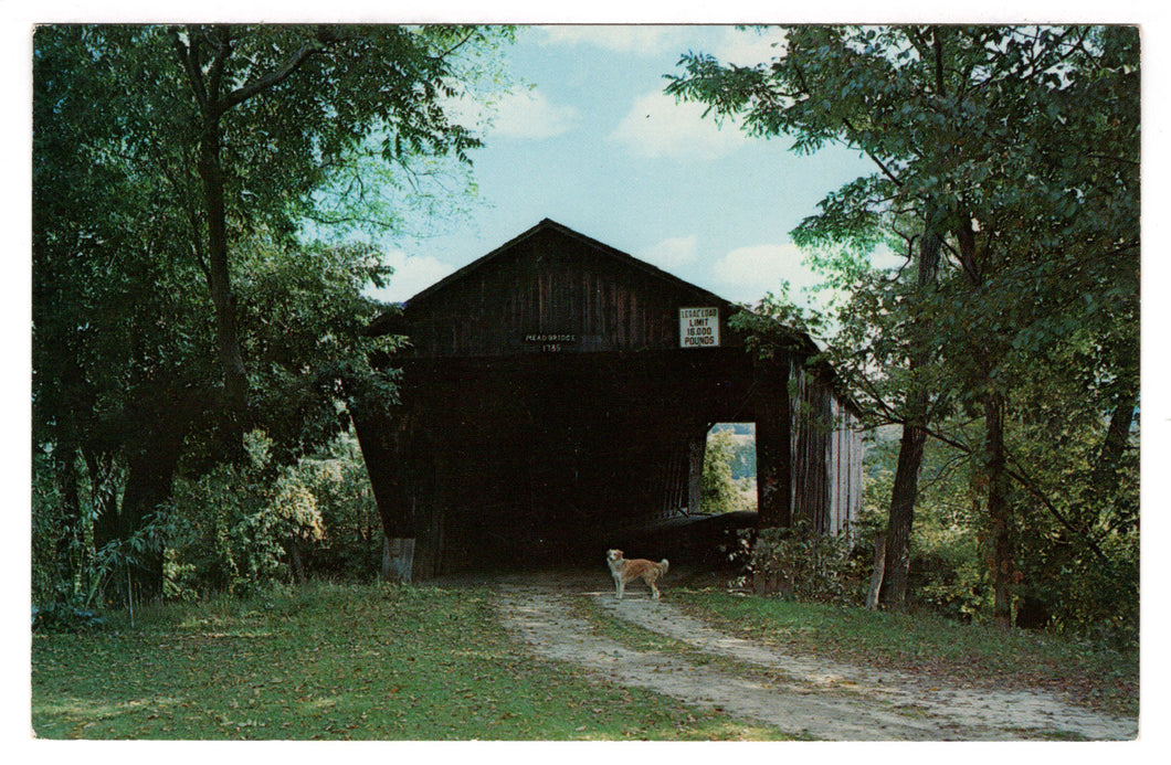 Old Covered Bridge, Mead Bridge, Pittsford, Vermont, USA Vintage Original Postcard # 4503 - 1960's
