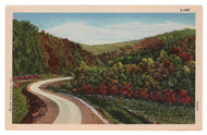 Scenic Country Side, USA Vintage Original Postcard # 4505 - 1950's