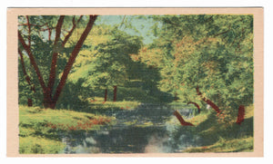 Scenic River and Country Side, USA Vintage Original Postcard # 4506 - 1950's