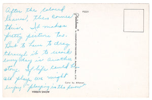 Virgin Snow in Winter, USA Vintage Original Postcard # 4529 - 1970's