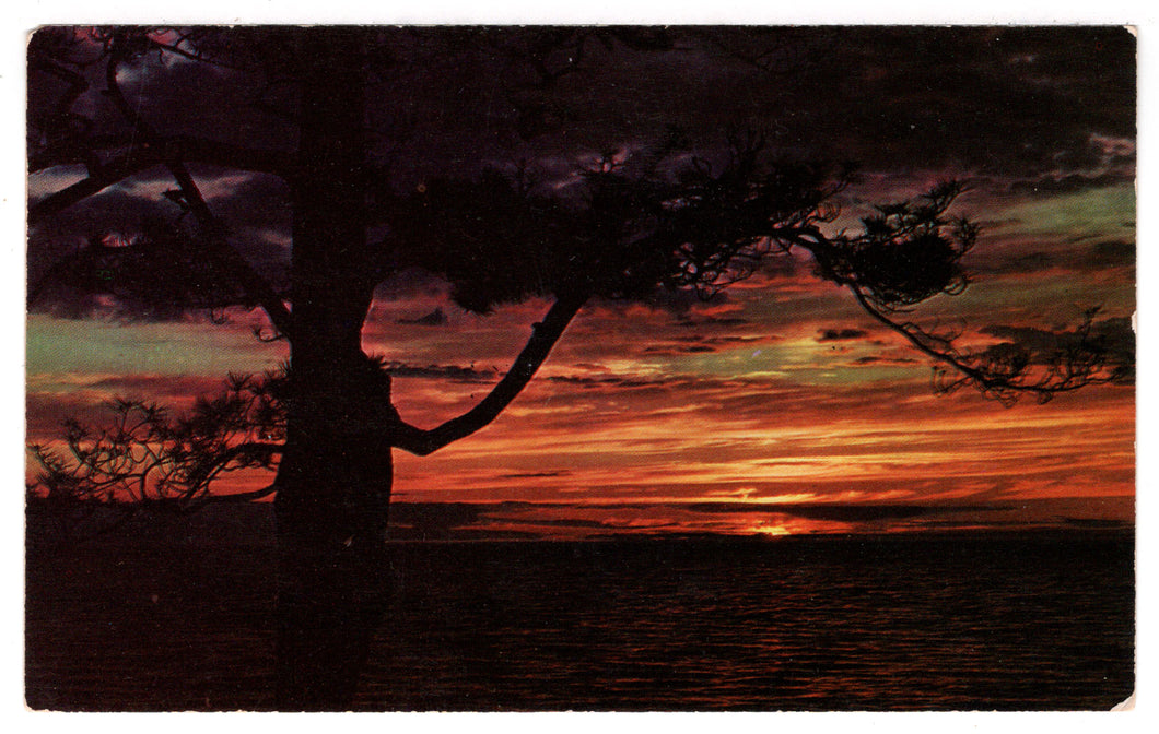 Sunset Over The Waters, USA Vintage Original Postcard # 4530 - 1970's