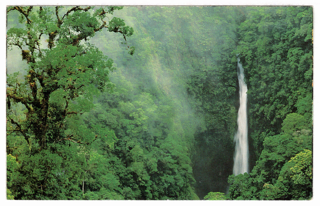 Waterfalls in the Forest, USA Vintage Original Postcard # 4531 - 1970's