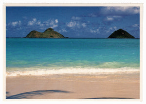 Tropical Paradise Vintage Original Postcard # 4534 - 1970's
