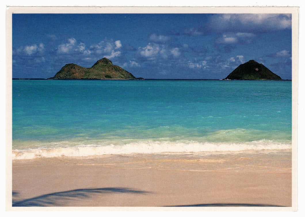 Tropical Paradise Vintage Original Postcard # 4534 - 1970's