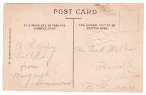 Birthday Greetings Vintage Original Postcard # 4570 - New, Early 1900's
