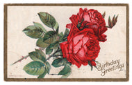 Birthday Greetings Vintage Original Postcard # 4573 - Post Marked June 7, 1911