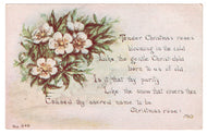 Christmas Roses Vintage Original Postcard # 4599 - Early 1900's