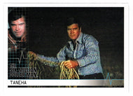 As the Pair Tracks the Cat (Trading Card) Six Million Dollar Man Seasons One and Two - 2004 Rittenhouse Archives # 60 - Mint