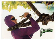 No Friend of Mine (Trading Card) The Phantom - 1996 Inkworks # 41 - Mint