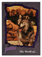 Devil (Trading Card) The Phantom - 1996 Inkworks # 88 - Mint