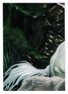 The Fifth Phantom (Trading Card) The Phantom - 1996 Inkworks - Embossed Joe Jusko Puzzle Cards # P-4 - Mint