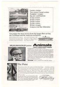 Pontiac 1966 Tempest - Vintage Ad - (The Tiger Scores Again) # 42 - General Motors Company 1966