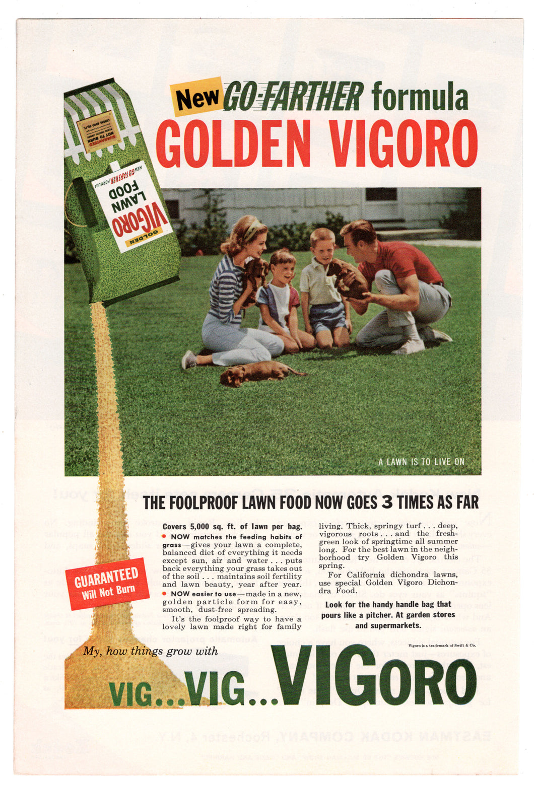 Golden Vigoro Lawn Food Vintage Ad (New GO-FARTHER Formula) # 275 - 1960's